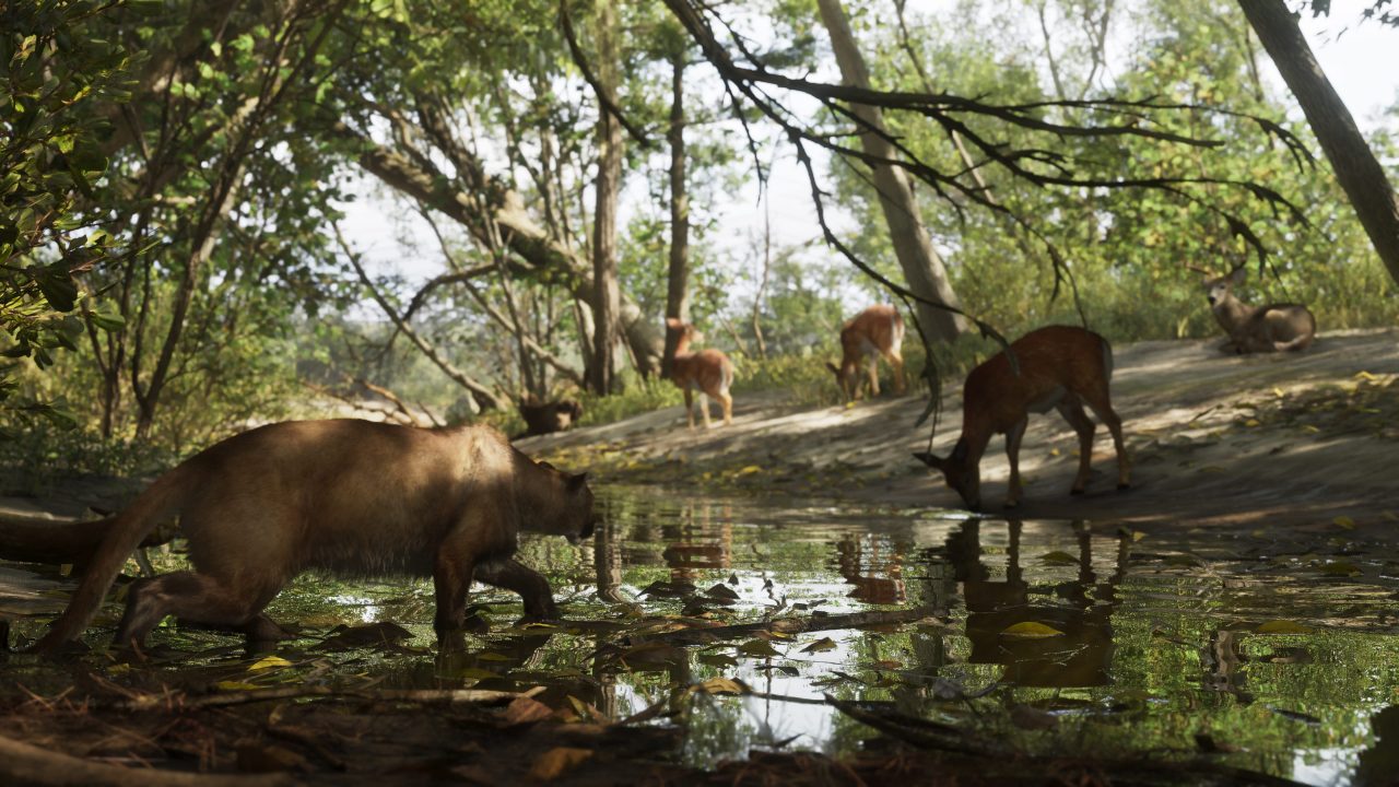 Mount Kalaga National Park — Leonida location, scene 5