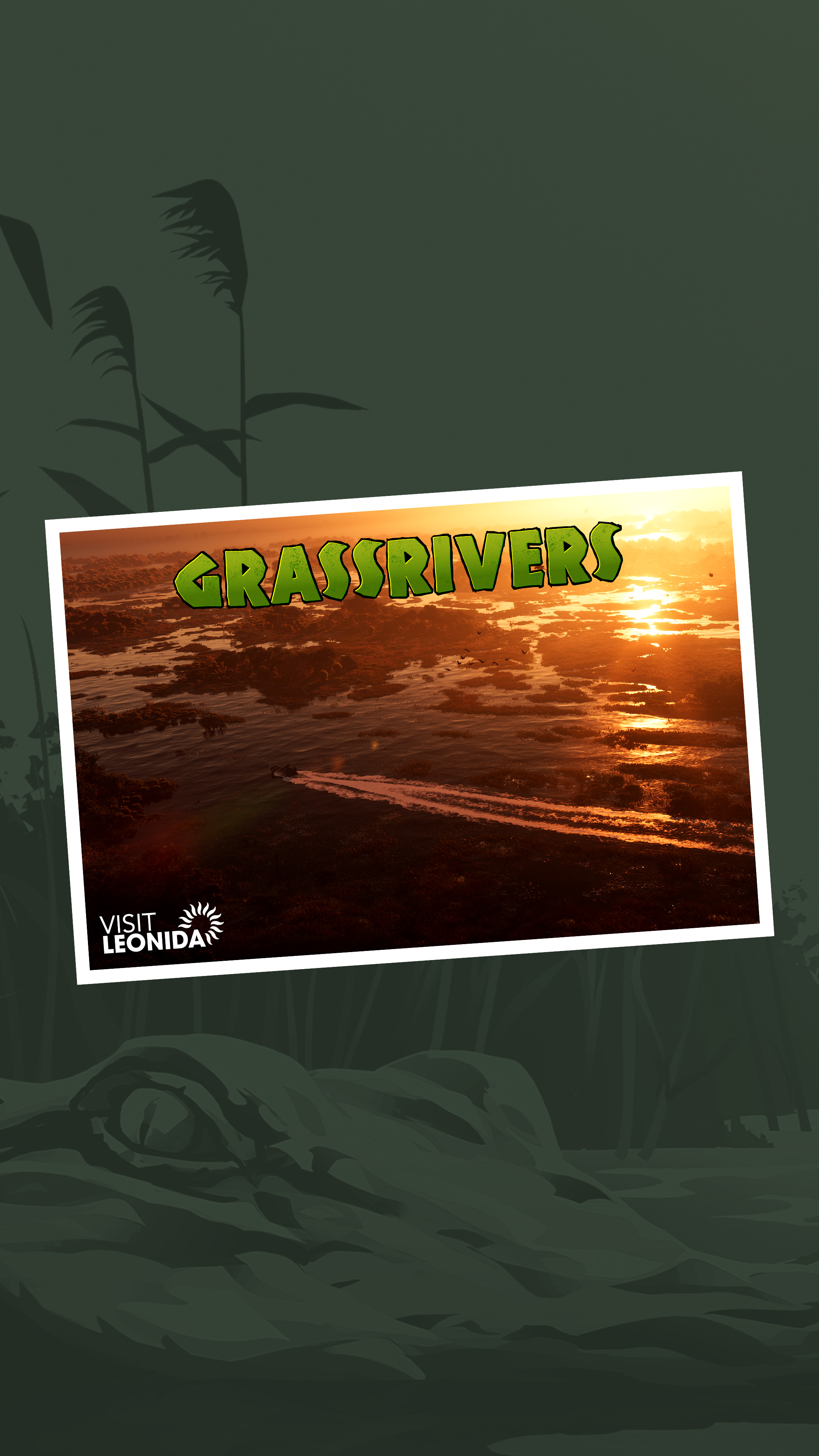 Grassrivers region postcard